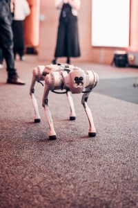 DOG ROBOT JLR